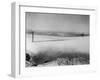 View of the Bay Area-null-Framed Photographic Print