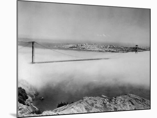 View of the Bay Area-null-Mounted Photographic Print