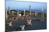 View of the Bay of Tunis, 9th Century Bc-CM Dixon-Mounted Photographic Print