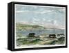 View of the Bay of Valparaiso, Chili, C1880-null-Framed Stretched Canvas