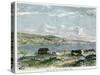 View of the Bay of Valparaiso, Chili, C1880-null-Stretched Canvas