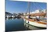 View of the Boats, Marina, Santa Eulalia Port-Emanuele Ciccomartino-Mounted Photographic Print