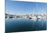 View of the Boats, Marina, Santa Eulalia Port-Emanuele Ciccomartino-Mounted Photographic Print