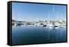 View of the Boats, Marina, Santa Eulalia Port-Emanuele Ciccomartino-Framed Stretched Canvas