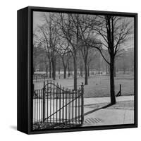 View of the Boston Commons-Walter Sanders-Framed Stretched Canvas