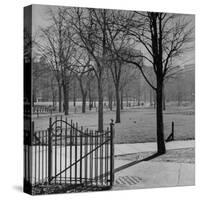 View of the Boston Commons-Walter Sanders-Stretched Canvas