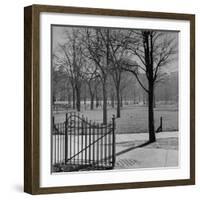 View of the Boston Commons-Walter Sanders-Framed Photographic Print