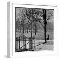 View of the Boston Commons-Walter Sanders-Framed Photographic Print