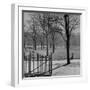 View of the Boston Commons-Walter Sanders-Framed Photographic Print