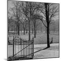 View of the Boston Commons-Walter Sanders-Mounted Photographic Print