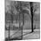 View of the Boston Commons-Walter Sanders-Mounted Photographic Print