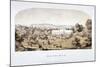 View of the Botanical Gardens in Regents Park, Marylebone, London, 1851-null-Mounted Giclee Print