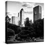 View of the Buildings around Central Park on a Summer Evening at Sunset, Manhattan, New York-Philippe Hugonnard-Stretched Canvas