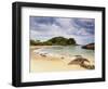 View of the Cachadaco Beach, Trinidade, Paraty Zone, State of Rio de Janeiro, Brazil, South America-Karol Kozlowski-Framed Photographic Print