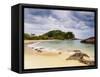 View of the Cachadaco Beach, Trinidade, Paraty Zone, State of Rio de Janeiro, Brazil, South America-Karol Kozlowski-Framed Stretched Canvas