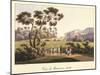 View of the Cameron Gallery in the Park in Tsarskoye Selo, before 1817-Andrei Yefimovich Martynov-Mounted Giclee Print