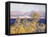 View of the Cap D'Antibes with the Mistral Blowing, 1888-Claude Monet-Framed Stretched Canvas