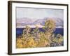 View of the Cap D'Antibes with the Mistral Blowing, 1888-Claude Monet-Framed Giclee Print