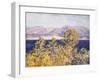 View of the Cap D'Antibes with the Mistral Blowing, 1888-Claude Monet-Framed Giclee Print