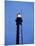 View of the Cape Henry Lighthouse, Virginia Beach, Virginia, USA-Walter Bibikow-Mounted Premium Photographic Print