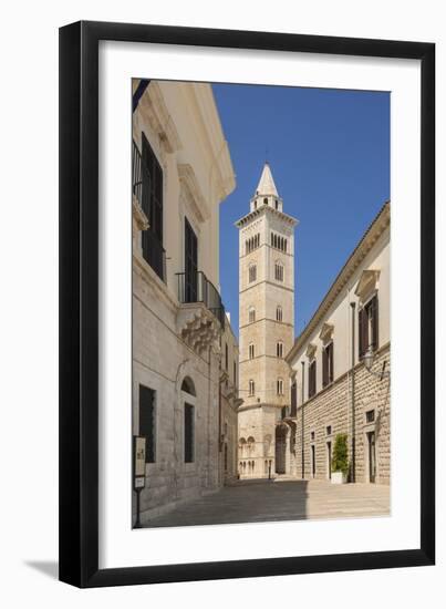 View of the Cathedral-Guido Cozzi-Framed Premium Photographic Print