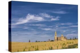 View of the Cathedral-Massimo Borchi-Stretched Canvas