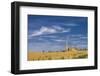 View of the Cathedral-Massimo Borchi-Framed Photographic Print