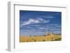 View of the Cathedral-Massimo Borchi-Framed Photographic Print