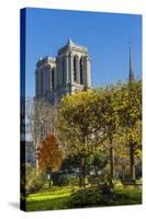 View of the Cathedrale (Cathedral) De Notre Dame from Place (Square) Rena Viviani in Autumn-Massimo Borchi-Stretched Canvas