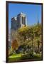 View of the Cathedrale (Cathedral) De Notre Dame from Place (Square) Rena Viviani in Autumn-Massimo Borchi-Framed Photographic Print