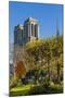 View of the Cathedrale (Cathedral) De Notre Dame from Place (Square) Rena Viviani in Autumn-Massimo Borchi-Mounted Photographic Print