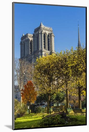 View of the Cathedrale (Cathedral) De Notre Dame from Place (Square) Rena Viviani in Autumn-Massimo Borchi-Mounted Photographic Print