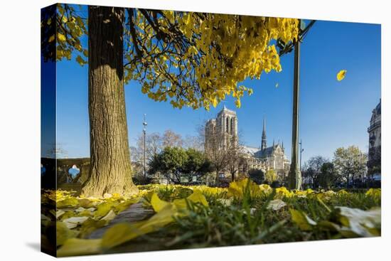 View of the Cathedrale (Cathedral) De Notre Dame from Place (Square) Rene Viviani in Autumn-Massimo Borchi-Stretched Canvas