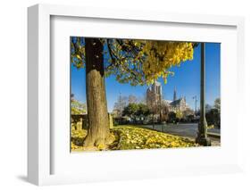 View of the Cathedrale (Cathedral) De Notre Dame from Place (Square) Rene Viviani in Autumn-Massimo Borchi-Framed Photographic Print