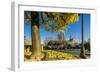 View of the Cathedrale (Cathedral) De Notre Dame from Place (Square) Rene Viviani in Autumn-Massimo Borchi-Framed Photographic Print