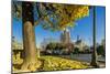 View of the Cathedrale (Cathedral) De Notre Dame from Place (Square) Rene Viviani in Autumn-Massimo Borchi-Mounted Photographic Print