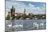 View of the Charles Bridge in Prague, Czech Republic-mazzzur-Mounted Photographic Print