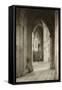 View of the Choir from the South Aisle at Ely Cathedral (B/W Photo)-Frederick Henry Evans-Framed Stretched Canvas