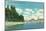 View of the City Beach and Pier - Coeur d'Alene, ID-Lantern Press-Mounted Art Print