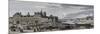 View of the City Hall of Paris and the Ile De La Cité-Jacques Rigaud-Mounted Premium Giclee Print