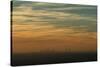 View of the City of Atlanta at Sunset from Stone Mountain Park, Georgia-Natalie Tepper-Stretched Canvas