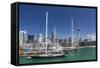 View of the City of Auckland from Auckland Harbour, North Island, New Zealand, Pacific-Michael Nolan-Framed Stretched Canvas