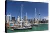 View of the City of Auckland from Auckland Harbour, North Island, New Zealand, Pacific-Michael Nolan-Stretched Canvas