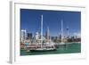 View of the City of Auckland from Auckland Harbour, North Island, New Zealand, Pacific-Michael Nolan-Framed Photographic Print