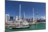 View of the City of Auckland from Auckland Harbour, North Island, New Zealand, Pacific-Michael Nolan-Mounted Photographic Print