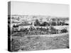 View of the City of Jerusalem from the Golgotha, Between 1870 and 1880-null-Stretched Canvas