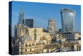 View of The City of London skyline and 20 Fenchurch Street (The Walkie Talkie), London, England-Frank Fell-Stretched Canvas