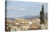 View of the City of Palermo, Sicily, Italy, Europe-Oliviero Olivieri-Stretched Canvas