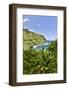 View of the coastline along the road to Hana, Maui, Hawaii-Darrell Gulin-Framed Photographic Print