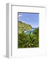 View of the coastline along the road to Hana, Maui, Hawaii-Darrell Gulin-Framed Photographic Print